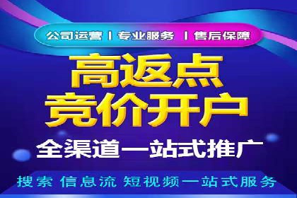 百度推广运营案例精选：揭秘成功之道